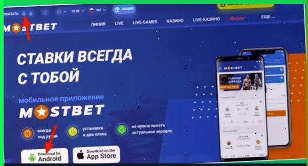 1xbet горячая линия email